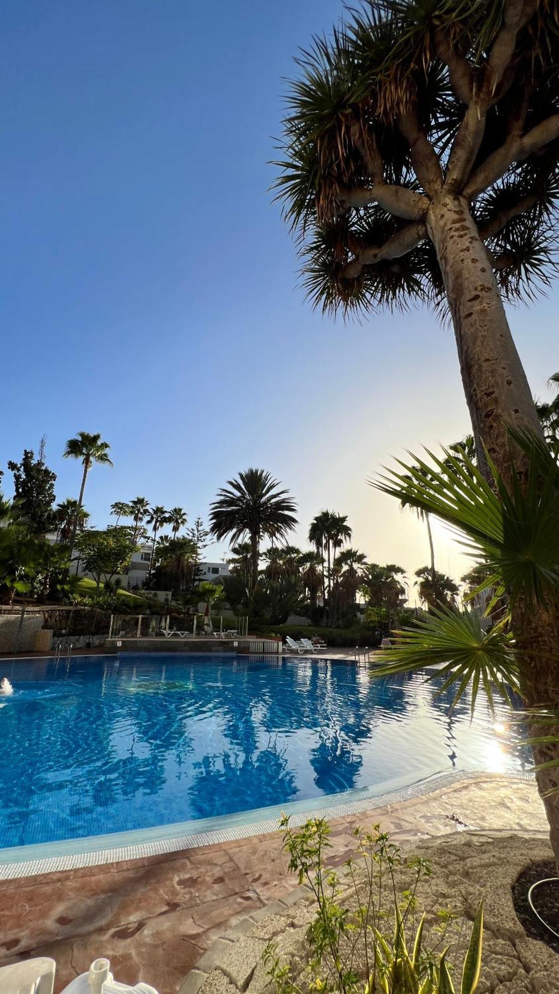 El Dorado - New Modern Apt Playa de las Americas  Bagian luar foto